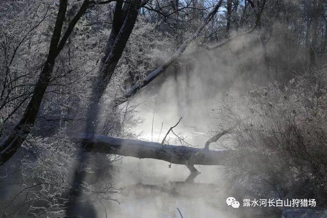 九张羊皮纸